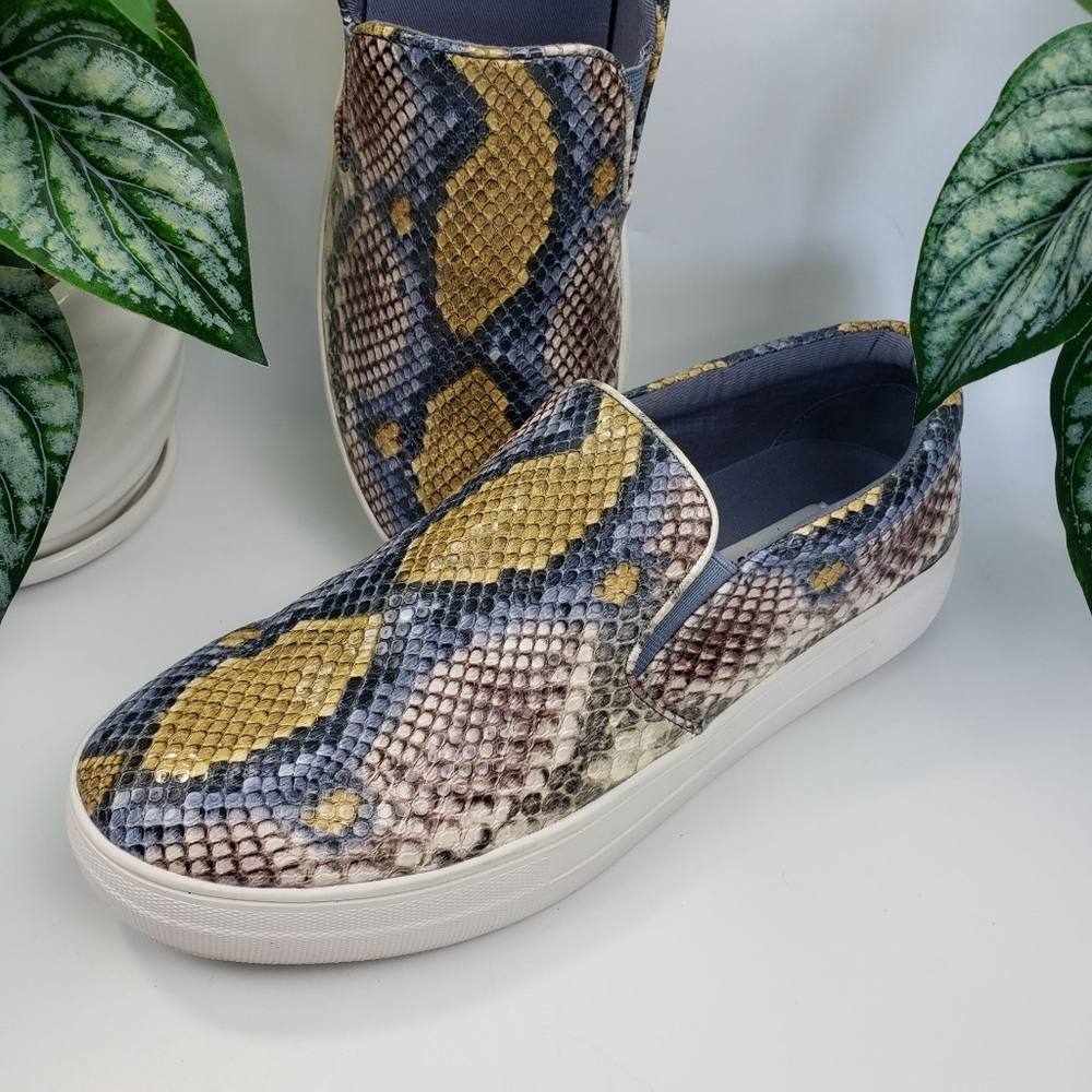 Steve Madden Sneaker Python Snake Print Skater Lo… - image 7